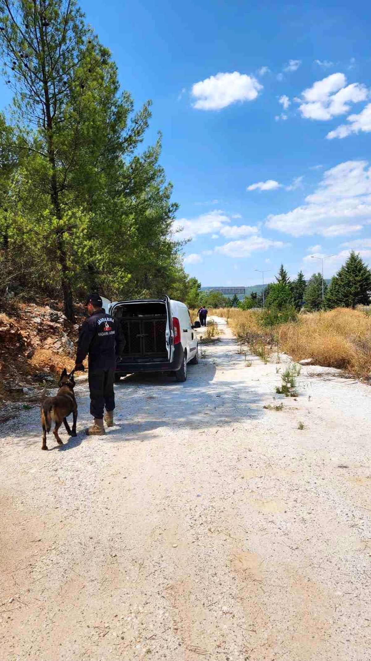 Muğla\'da Alzheimer Hastası Kadın 16 Gündür Kayıp