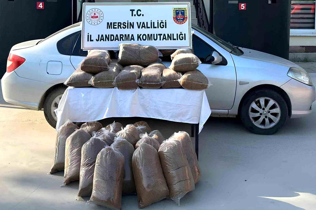 Mersin\'de 310 Kilogram Kaçak Tütün Ele Geçirildi, 1 Şüpheli Yakalandı