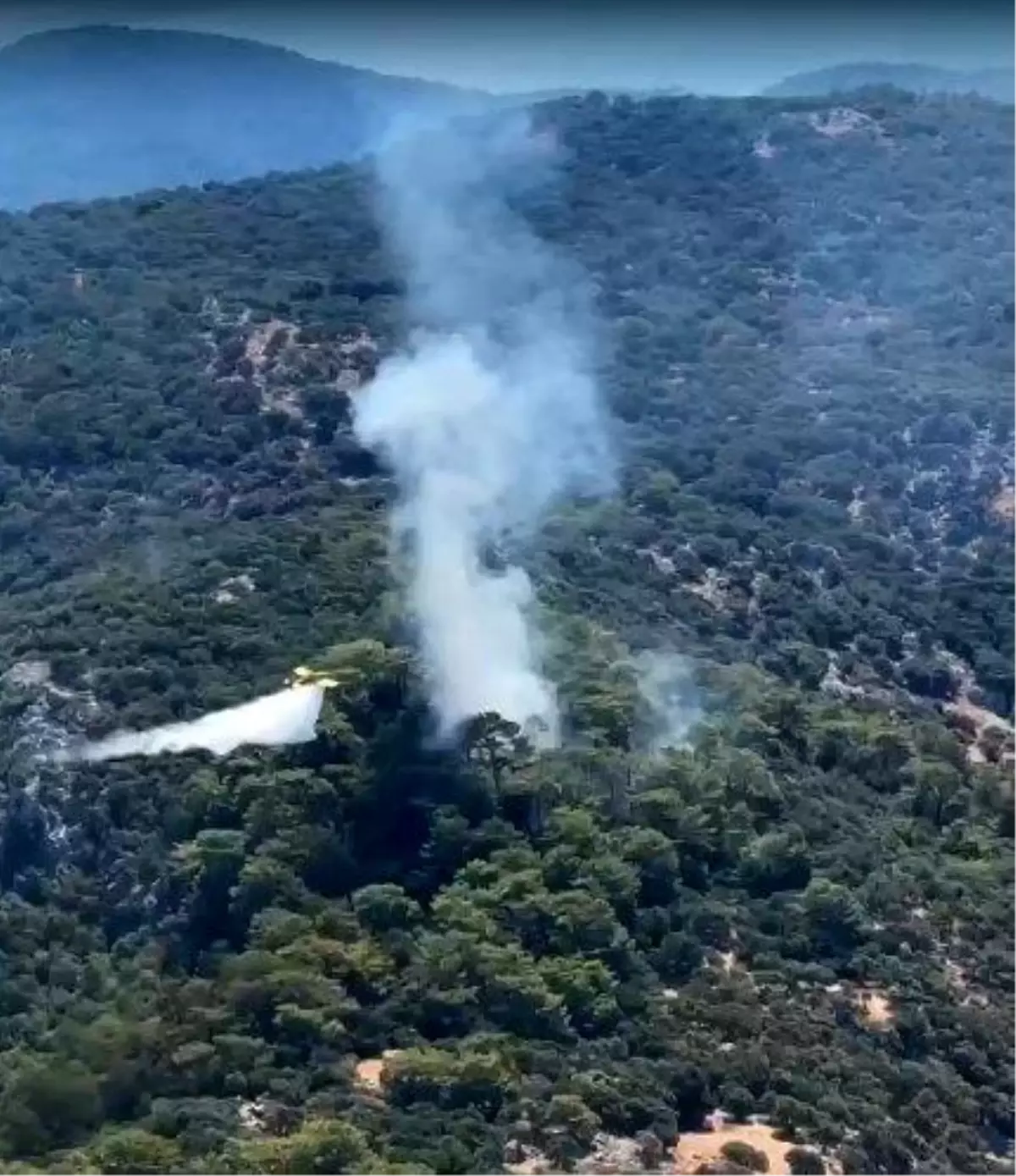 Muğla\'da Ormanlık Alanda Yangın Çıktı