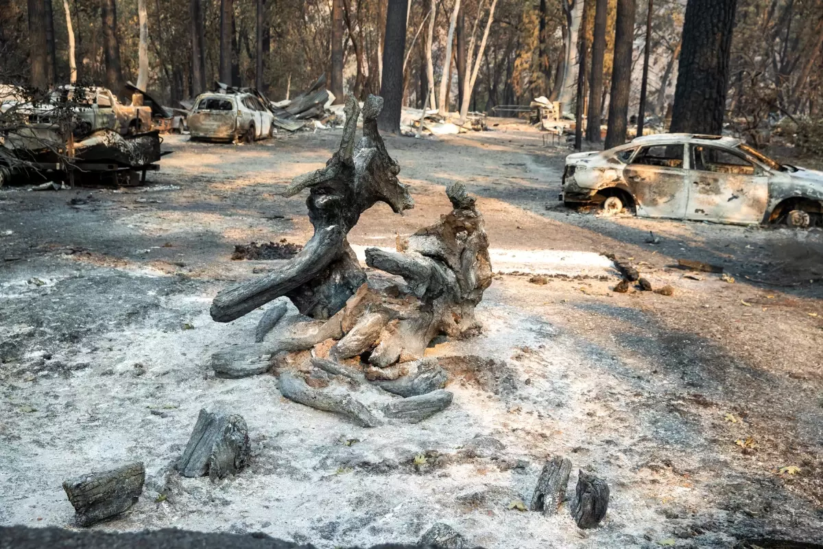 ABD\'nin Kaliforniya eyaletinde Park Yangını hızla yayılıyor