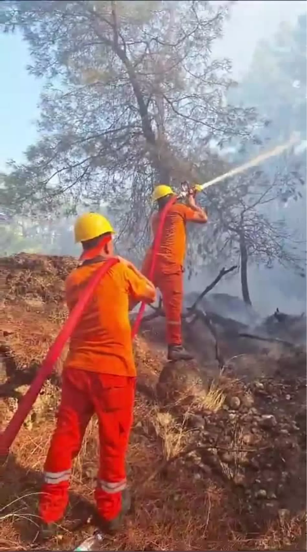 Antalya Serik\'te çıkan orman yangını kontrol altına alındı