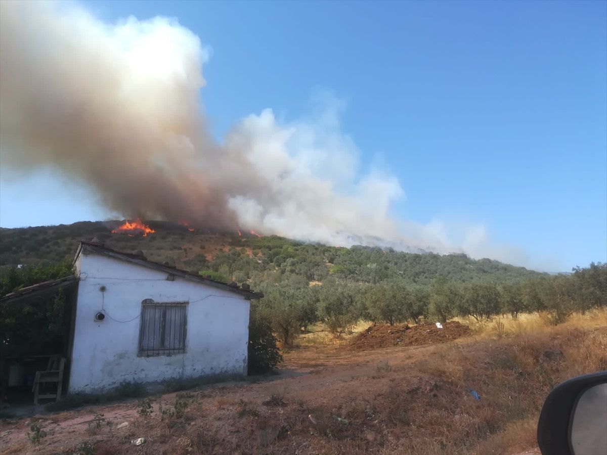 Erdek\'teki Orman Yangını Kontrol Altına Alındı