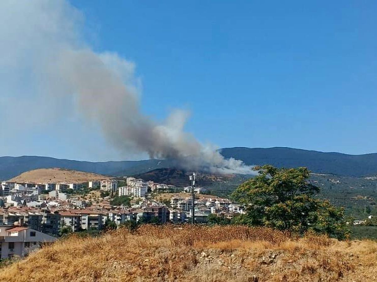 Erdek\'te ormanlık alanda yangın çıktı