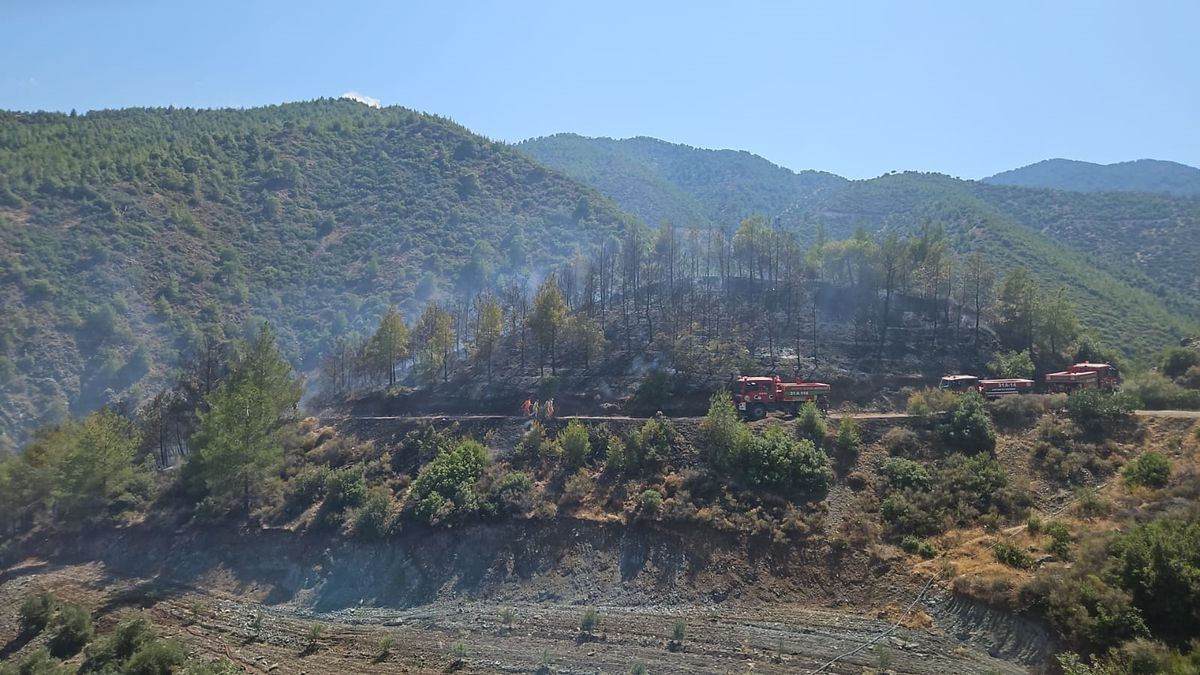Antakya\'da çıkan yangın kontrol altına alındı