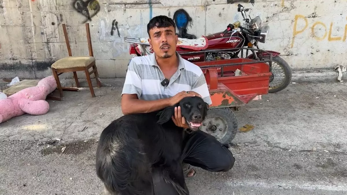 İskenderun\'da Kamyonetin Arkasına Bağlanan Köpek Yerlerde Sürüklendi