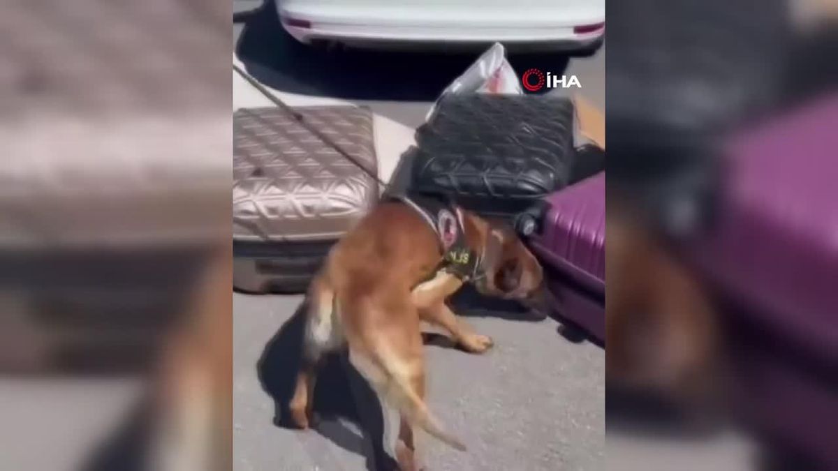 Kayseri\'de 41 kilo uyuşturucu ele geçirildi