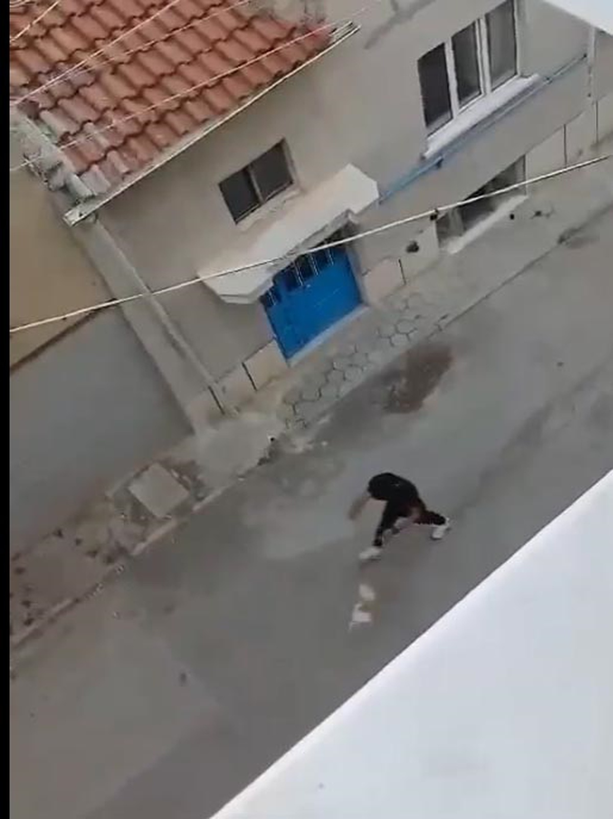 Eskişehir\'de Köpeğine Şiddet Uygulayan Şahıs Gözaltına Alındı