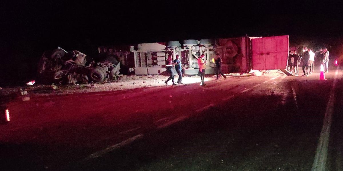 Malatya\'da Koyun Yüklü Tır Devrildi: Onlarca Koyun Telef Oldu, 3 Kişi Yaralandı