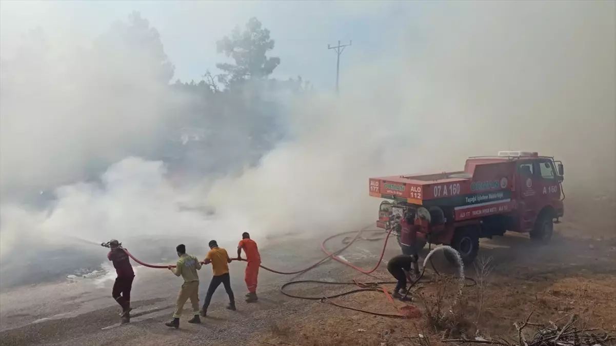 Manavgat\'ta çıkan yangın ormanlık alana sıçramadan söndürüldü