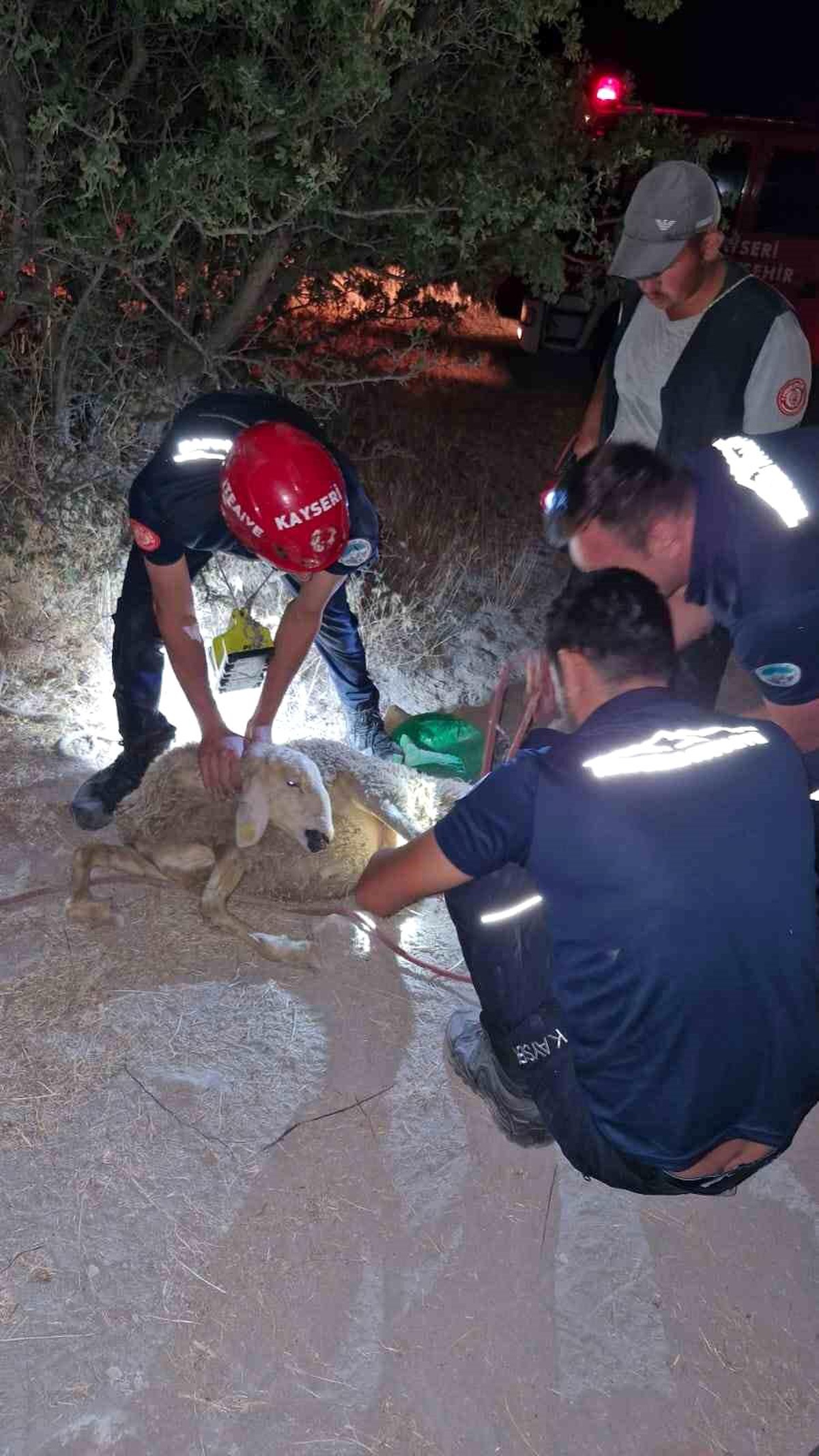 Kayseri İtfaiyesi Kuyuya Düşen Koyunu Kurtardı