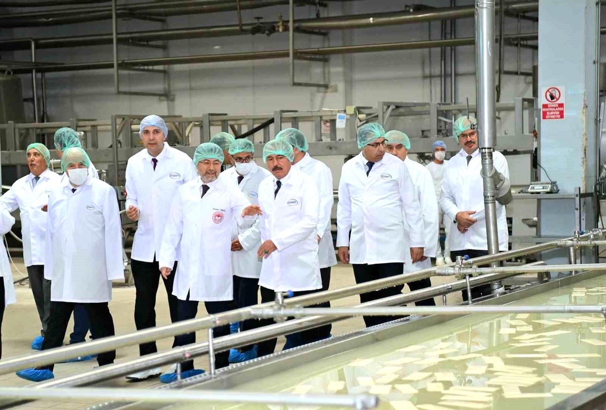 Tarım ve Orman Bakanı: Üreticiyi korumak için günlük bin ton sütü piyasadan çekeceğiz