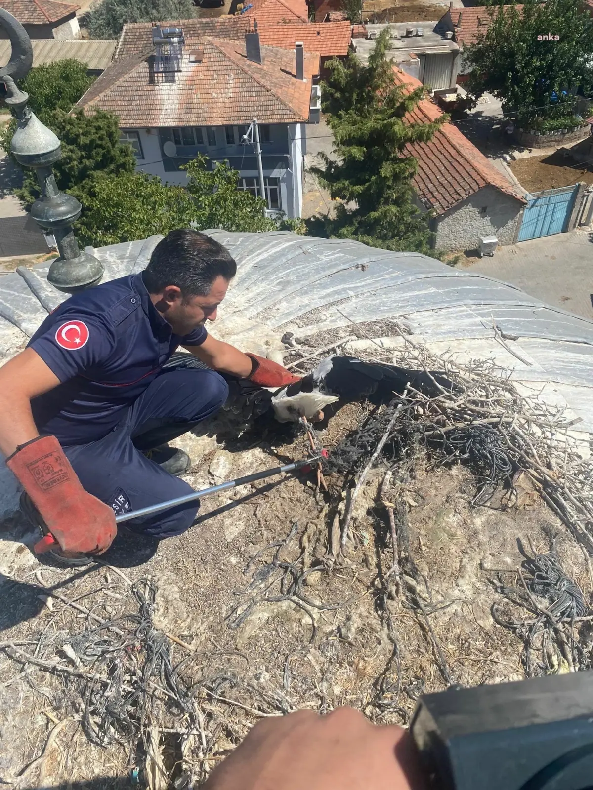 Balıkesir Büyükşehir Belediyesi, yaralı leyleği kurtardı