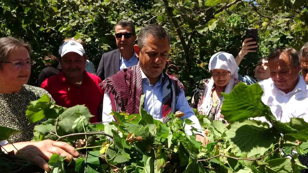 CHP Genel Başkanı Özgür Özel, TMO\'nun açıkladığı fındık fiyatlarını eleştirdi