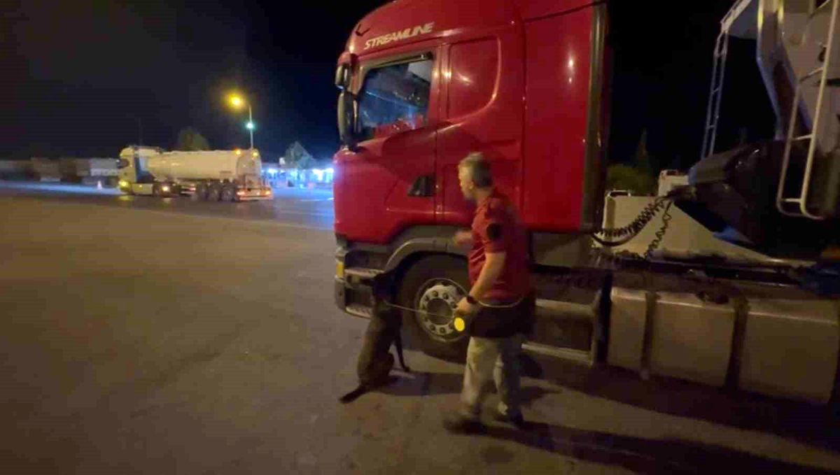 Adana\'da Dedektör Köpeği \'Barbara\' 46 Kilogram Esrarı Ele Geçirdi