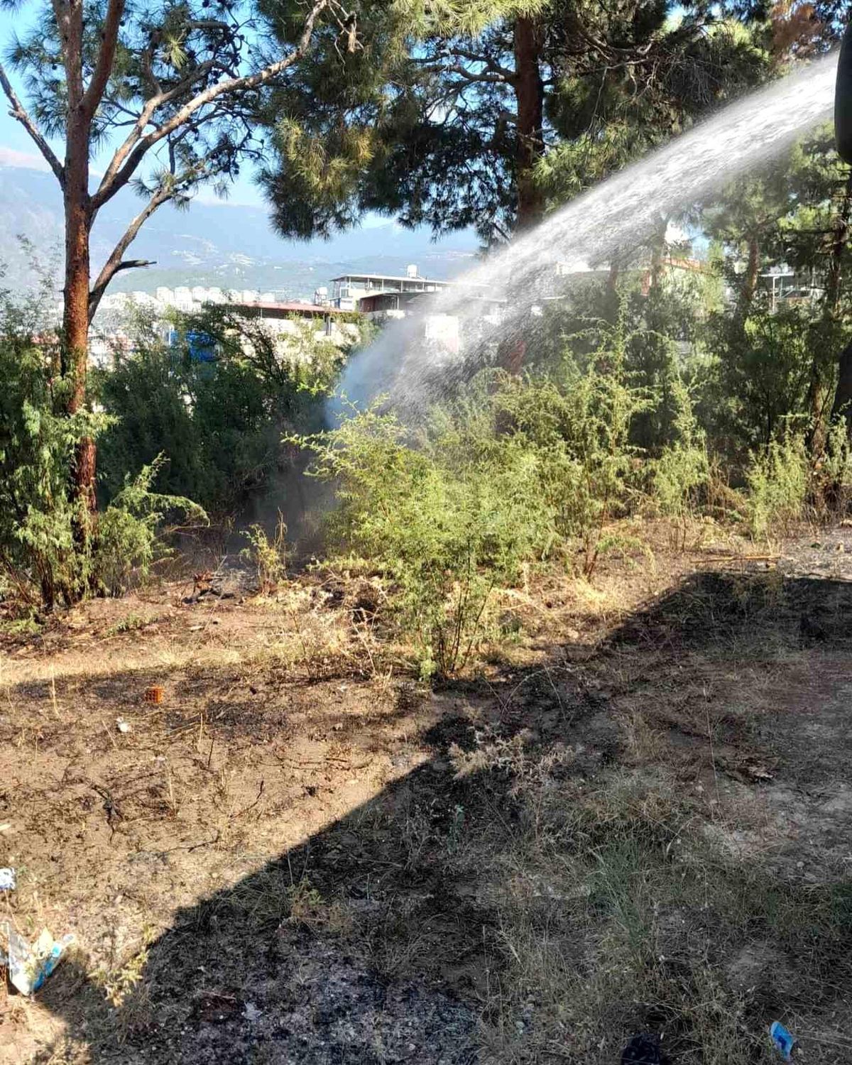İskenderun\'da çıkan bahçe yangını itfaiye ekipleri tarafından söndürüldü