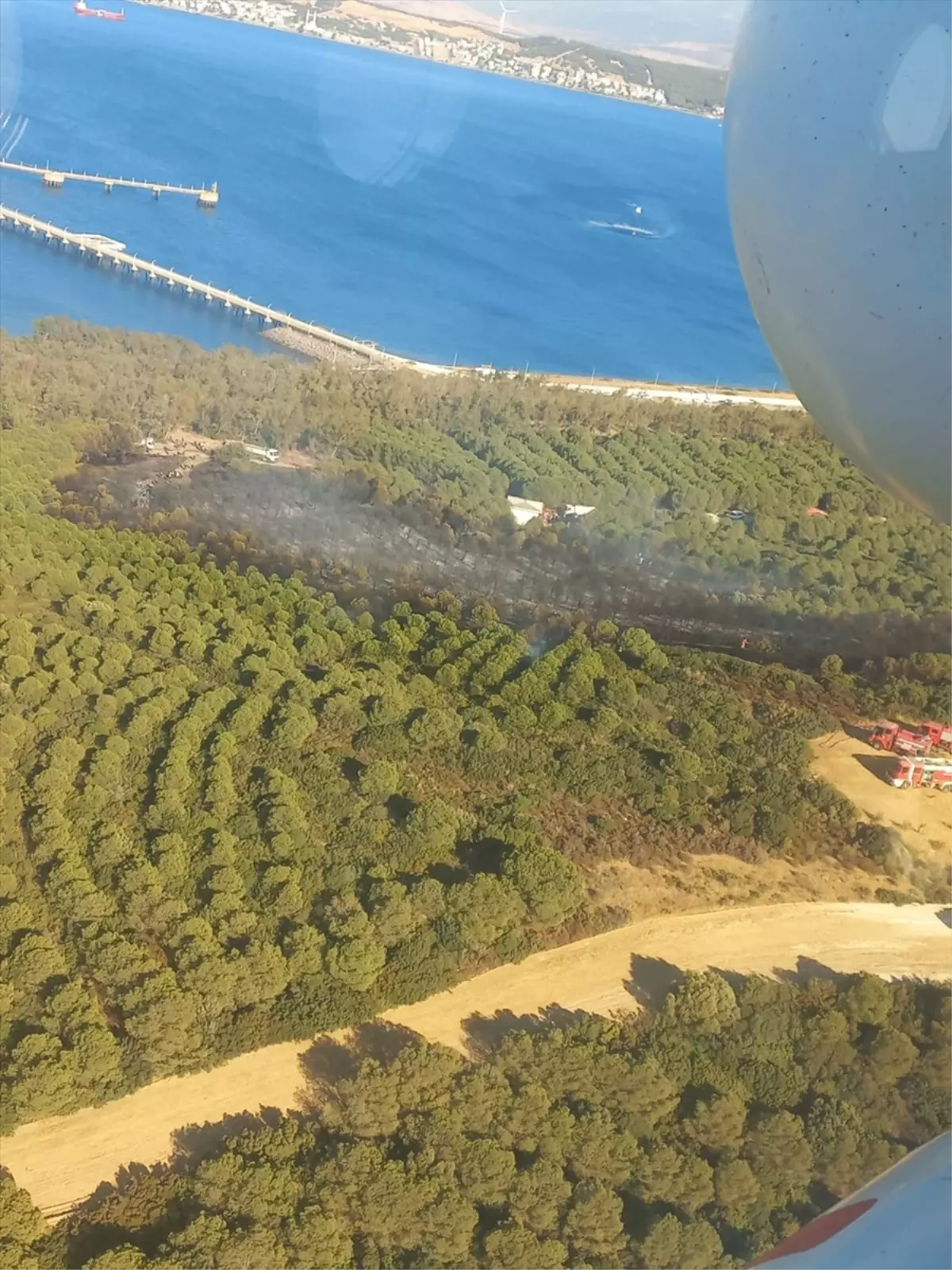 İzmir Aliağa\'da Orman Yangını Kontrol Altına Alındı