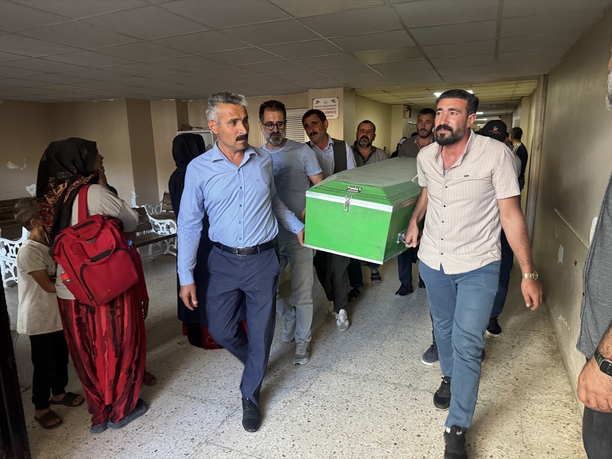 Şanlıurfa\'da 5 çocuğun hayatını kaybettiği trafik kazasında tutuklama
