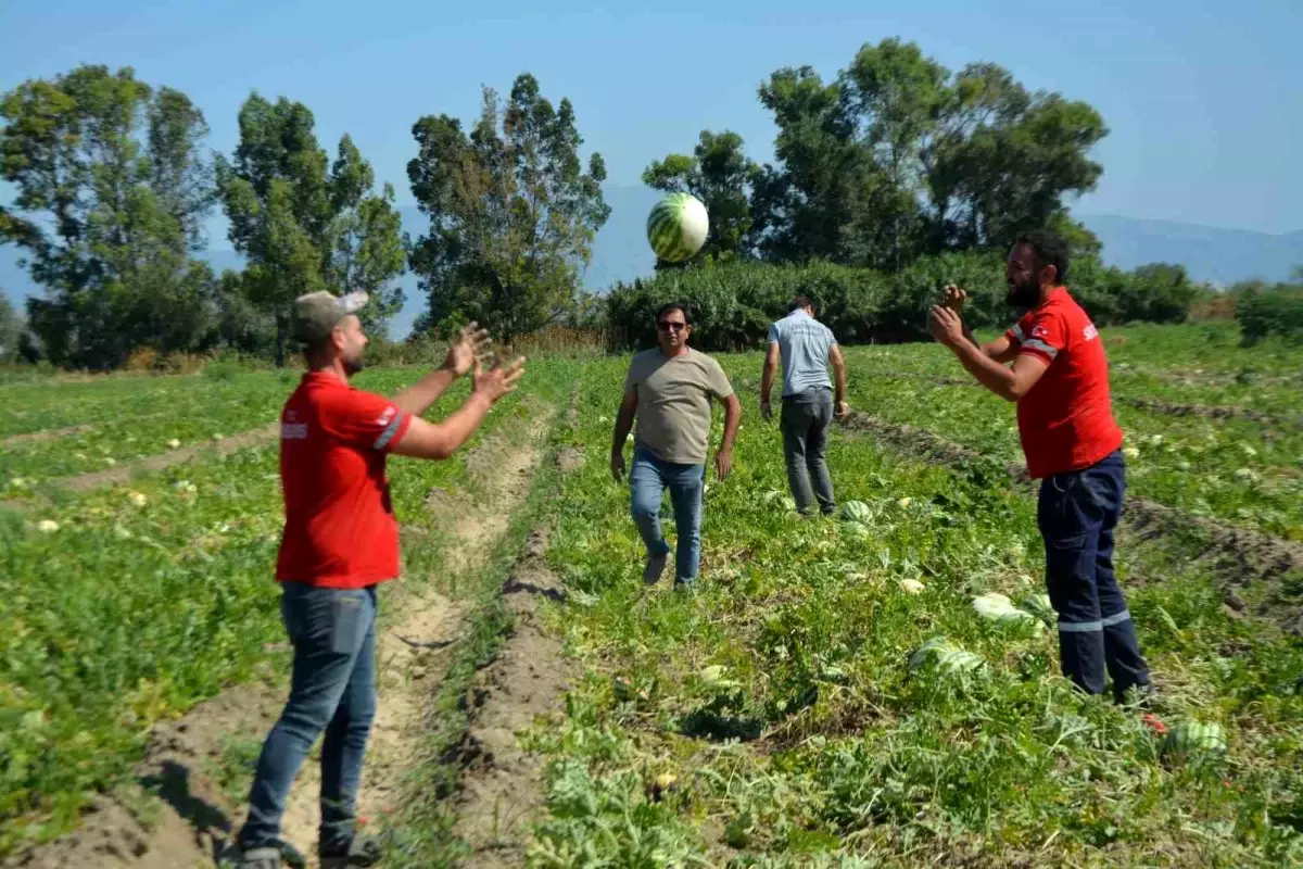 Söke\'de Üretici Karpuzları Hibe Etti, Belediye Vatandaşlara Dağıttı