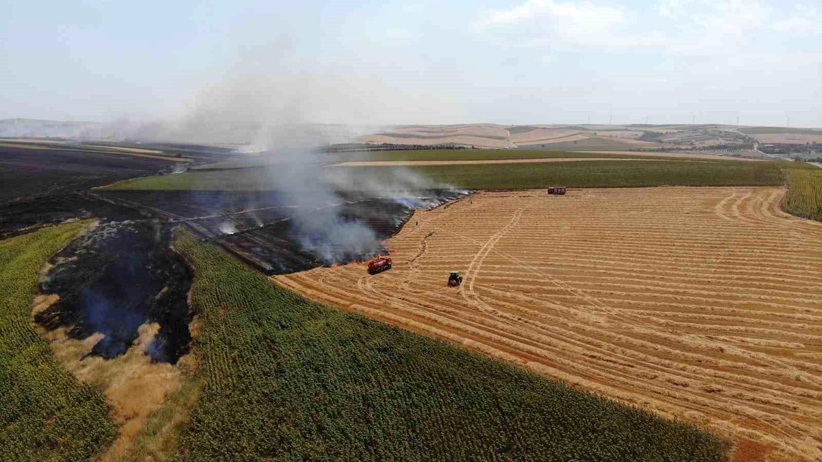 Tekirdağ\'da Temmuz Ayında Çıkan Yangınlarda 19 Bin 676 Dekar Tarım Arazisi Zarar Gördü