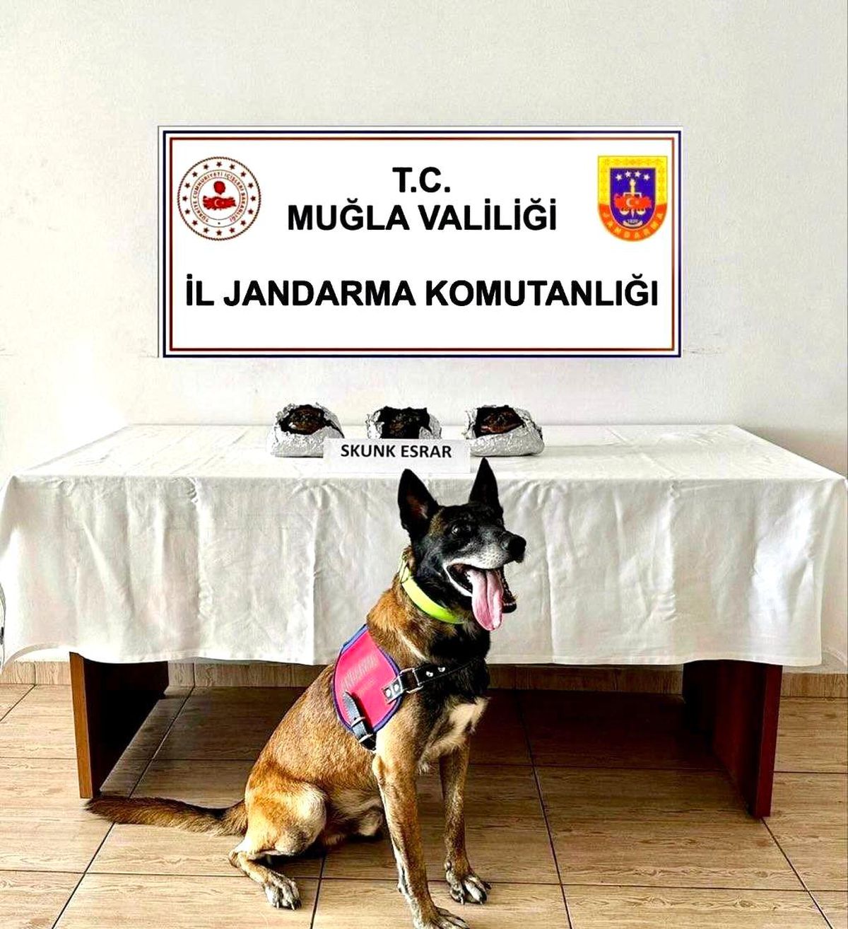 Muğla\'da Uyuşturucu Operasyonu: 2 Kişi Gözaltına Alındı
