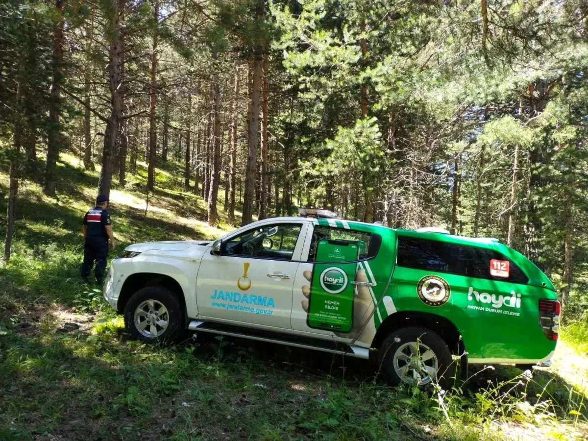 Erzincan\'da jandarma ekipleri orman yangınlarına karşı bilgilendirme faaliyetlerine devam ediyor