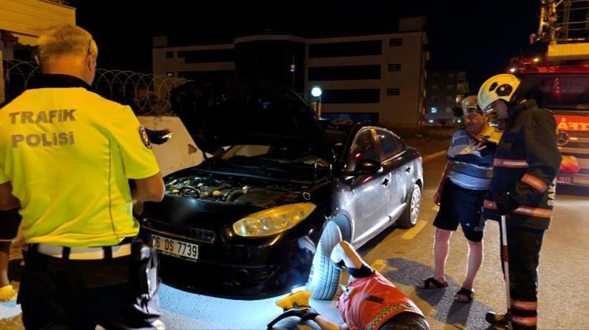 Sakarya\'da otomobilin motoruna giren yılan paniğe neden oldu