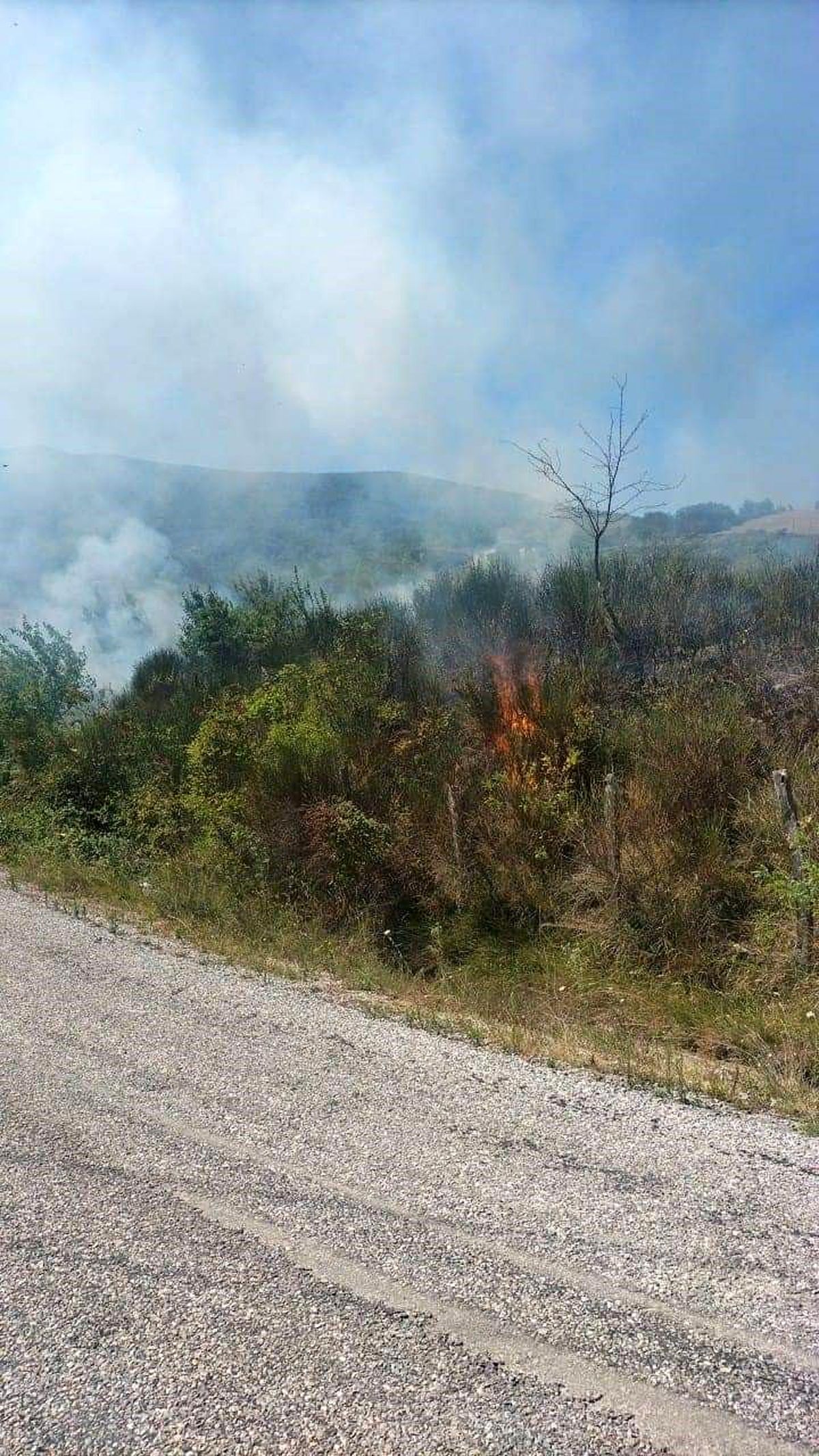 Sinop\'un Türkeli ilçesinde çıkan anız yangını söndürüldü