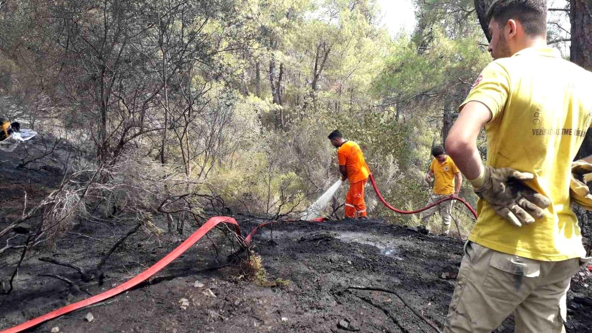 Antalya\'da Orman Yangını Kontrol Altına Alındı