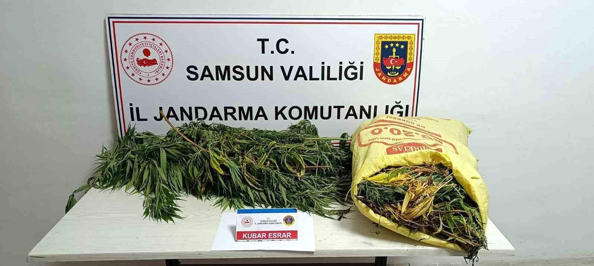 Samsun\'da 12 Kilo Esrarla Yakalanan Kadın Tutuklandı