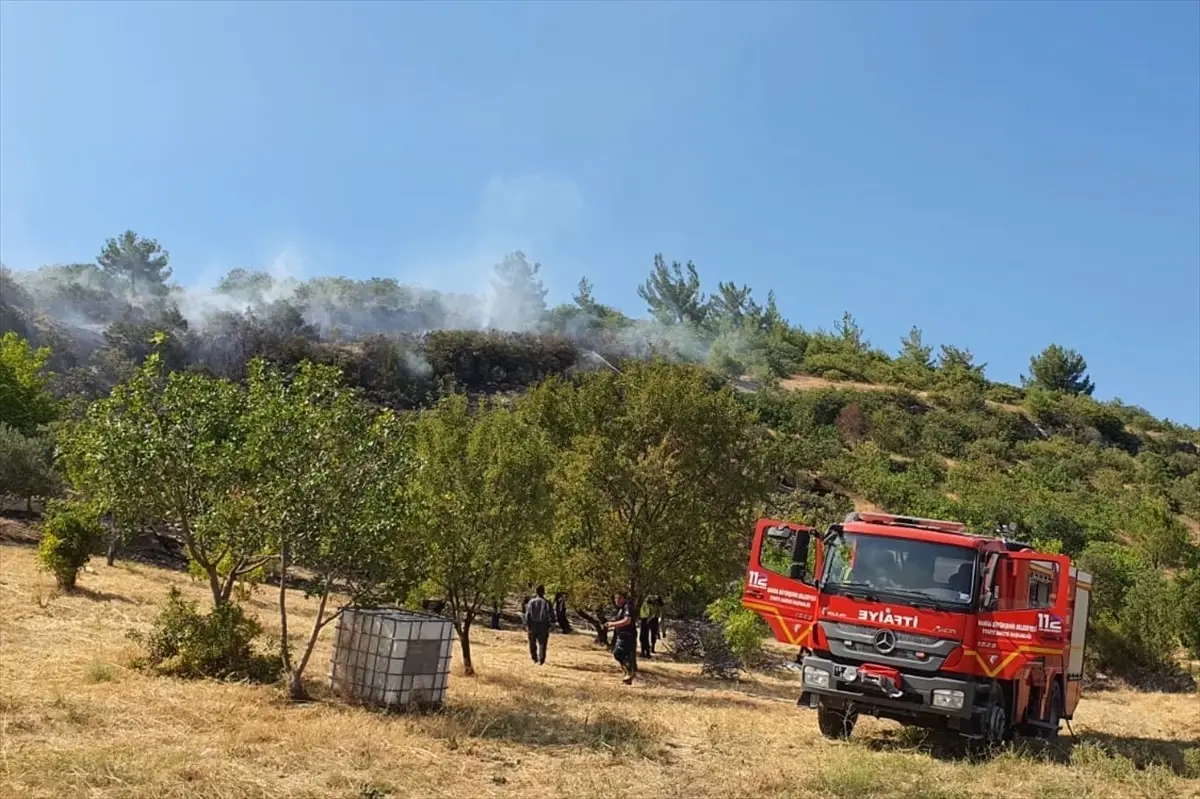 Manisa\'da çıkan yangında 3 hektar tarım arazisi zarar gördü