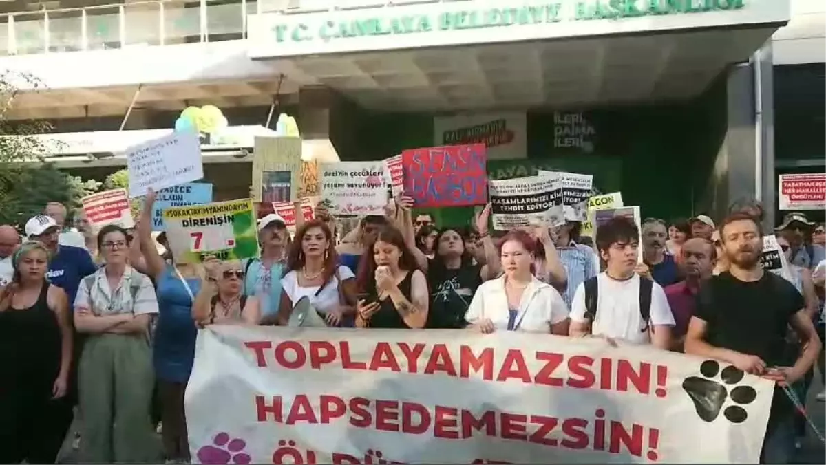 Ankara\'da Hayvanseverler Başıboş Sokak Köpeklerinin Toplatılmasını Protesto Etti