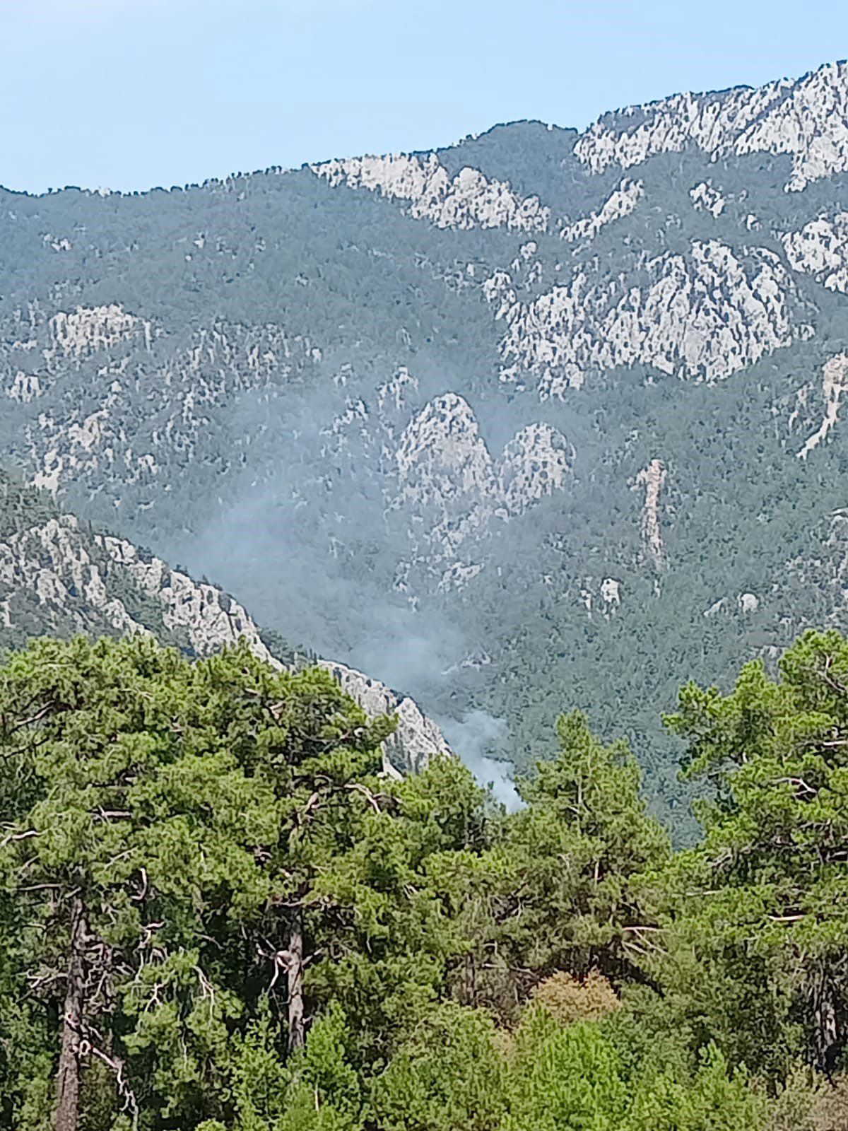 Kemer\'de Orman Yangını Çıktı