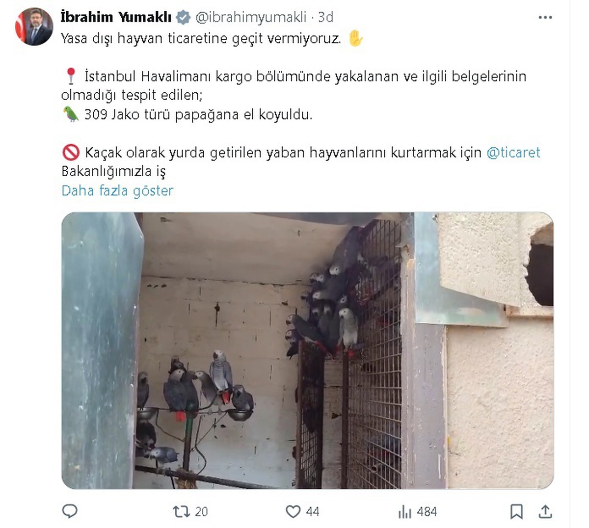 İstanbul Havalimanı\'nda 309 Jako Papağanı Ele Geçirildi