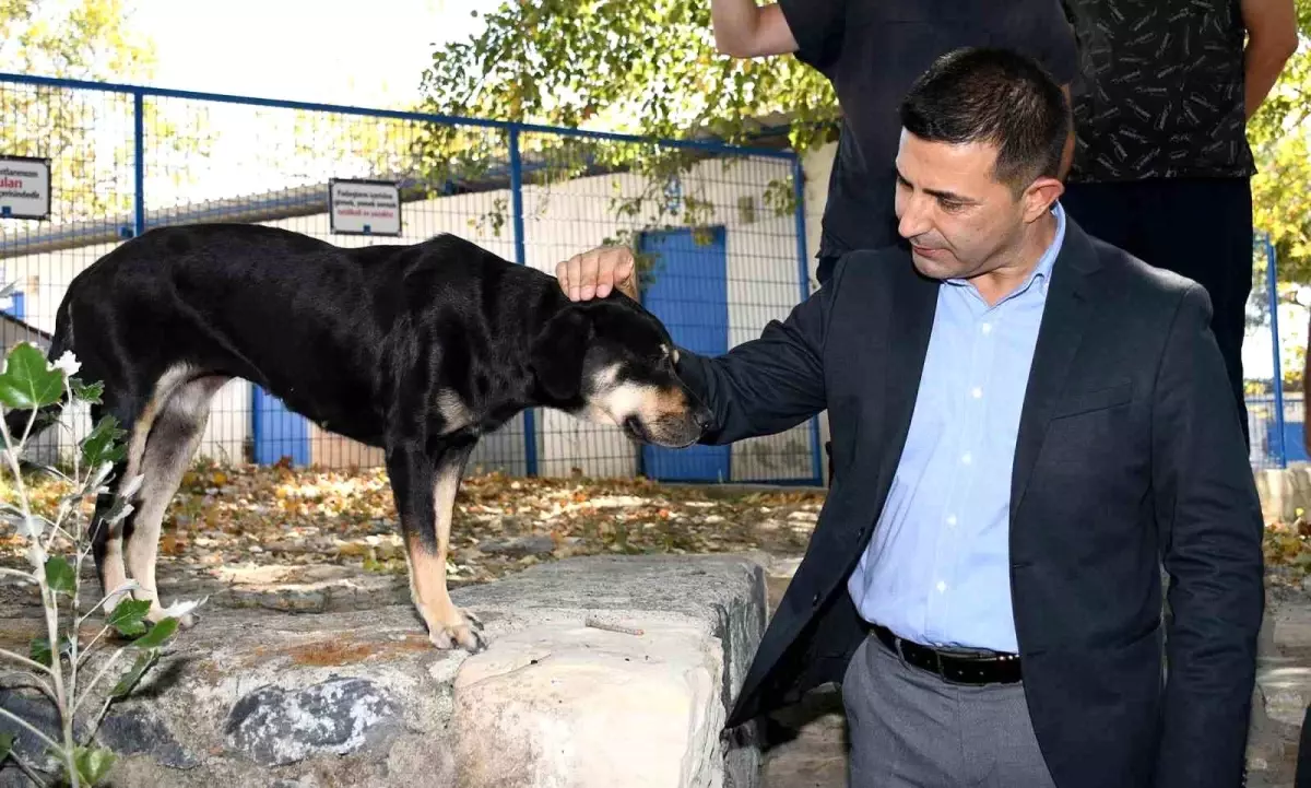 Kuşadası Belediye Başkanı Ömer Günel, Sokak Hayvanları Yasası Hakkında Açıklama Yaptı