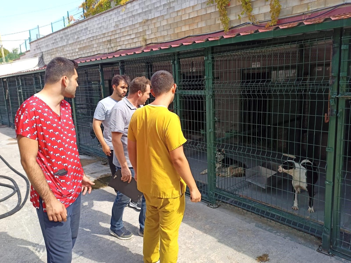 Bilecik\'te Hayvan Barınakları Denetlendi