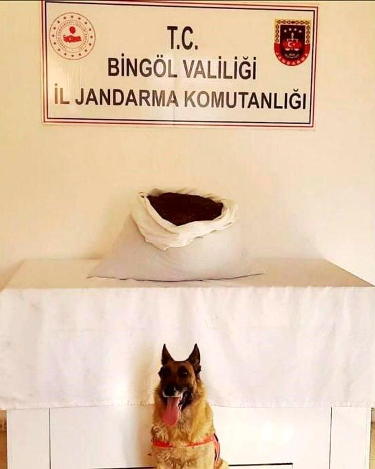 Bingöl\'de Jandarma Operasyonunda 15 Kilo Esrar Ele Geçirildi