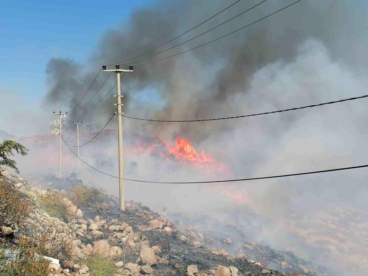 Muğla Bodrum\'da Yangın Kontrol Altına Alındı