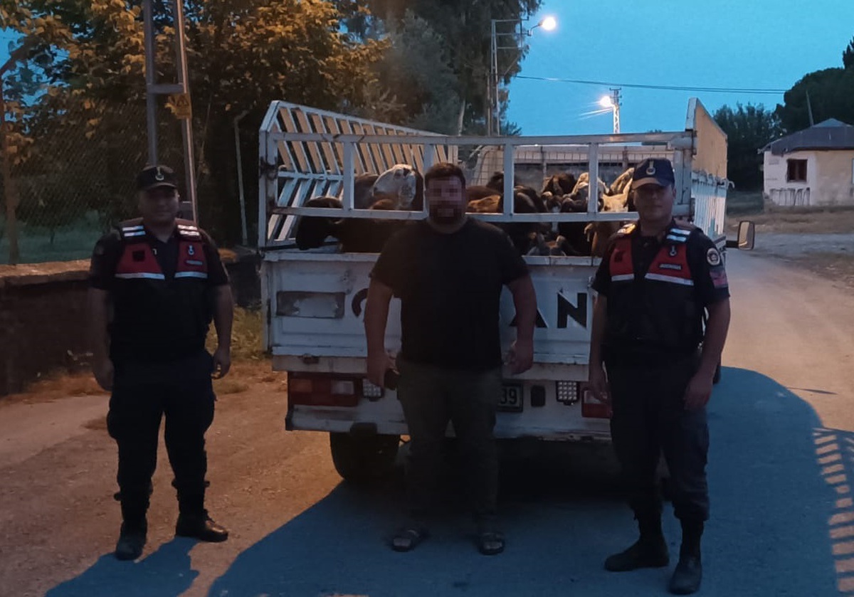 Çoban, patronunun koyunlarını çalıp pavyonda eğlenirken yakalandı