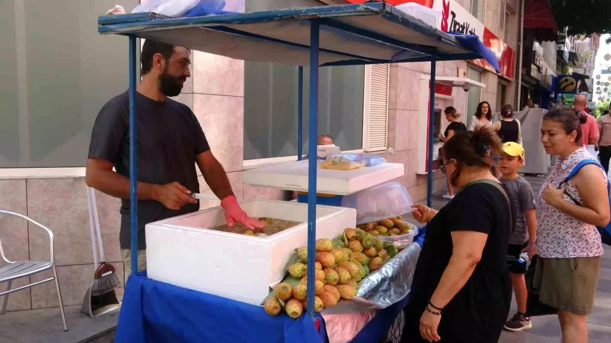 Mersin\'de Şifa Kaynağı Dikenli İncir Satışa Sunuldu