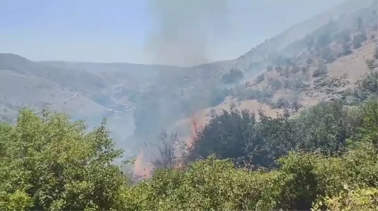 Diyarbakır\'da Ormanda Çıkan Yangın Üzüm Bağına Sıçradı