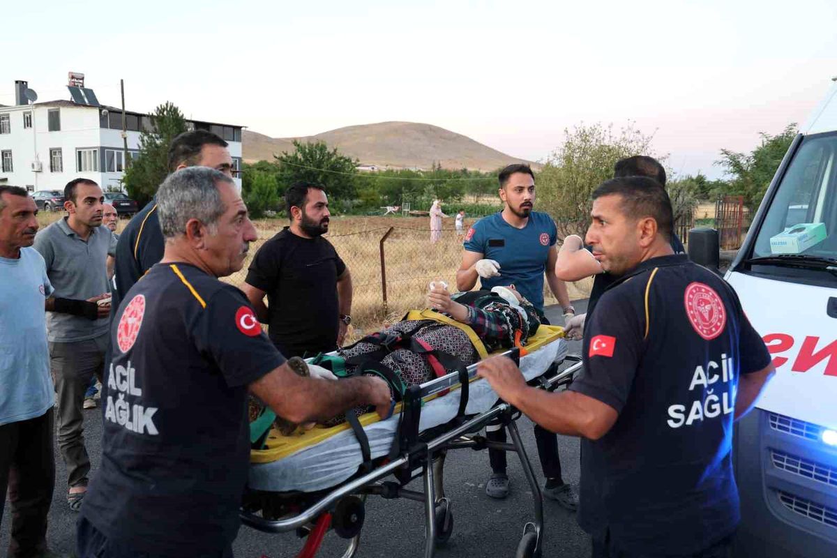 Elazığ\'da trafik kazası: 6 kişi yaralandı