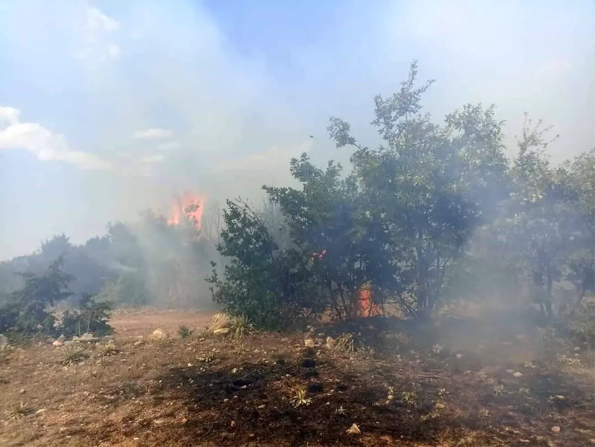 Eskişehir\'de Ormanlık Alanda Çıkan Yangın Kontrol Altına Alındı