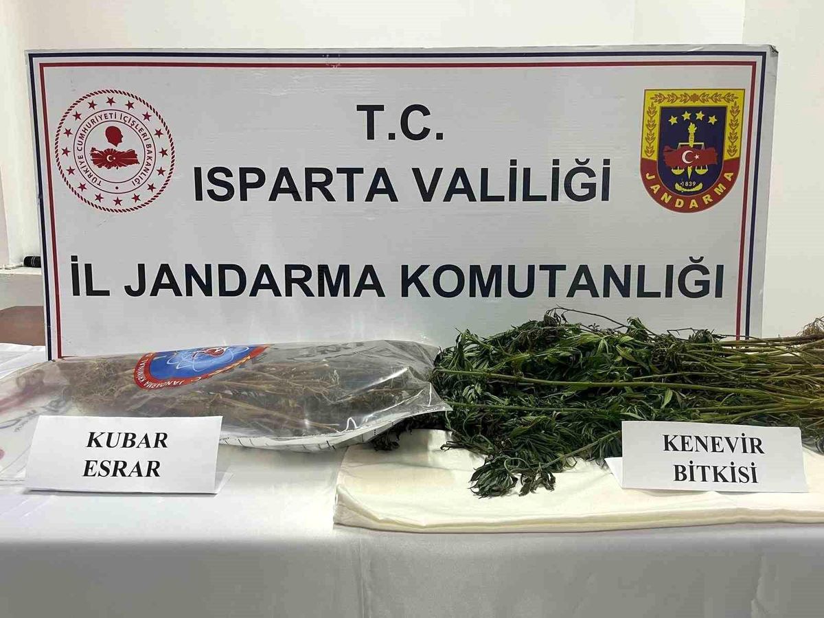 Isparta\'da Yasa Dışı Uyuşturucu Madde Ekimi Yapan Şahıs Tutuklandı