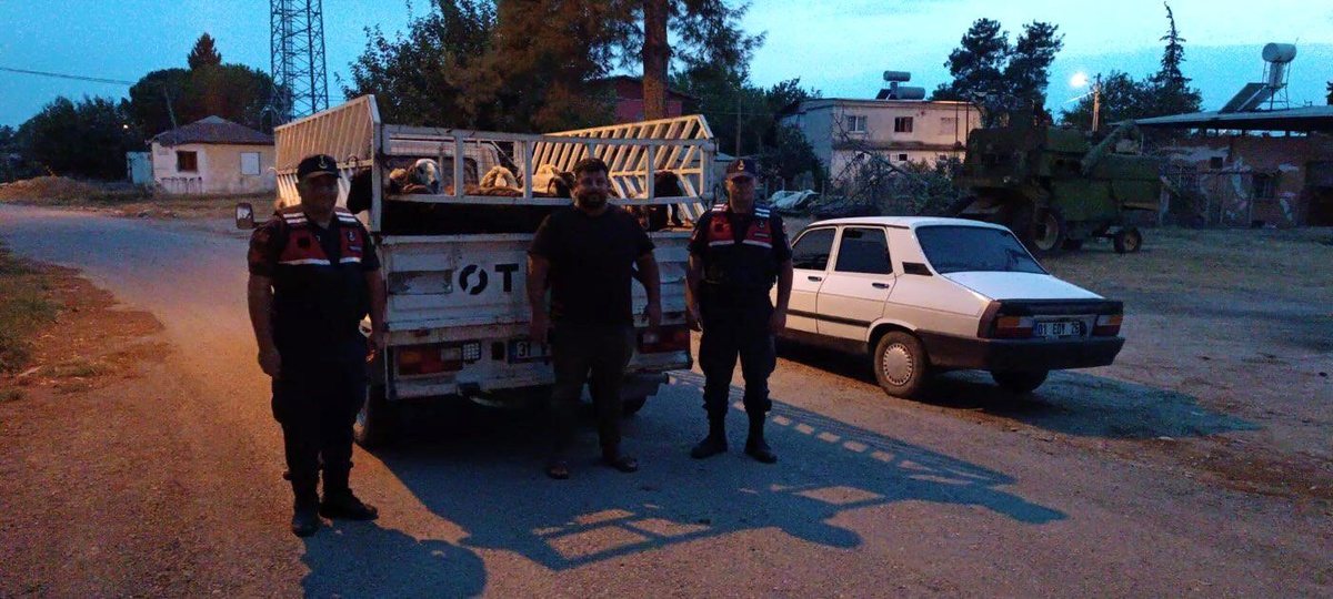 Adana\'da çalıp satılan 60 küçükbaş hayvanı çalan çoban yakalandı