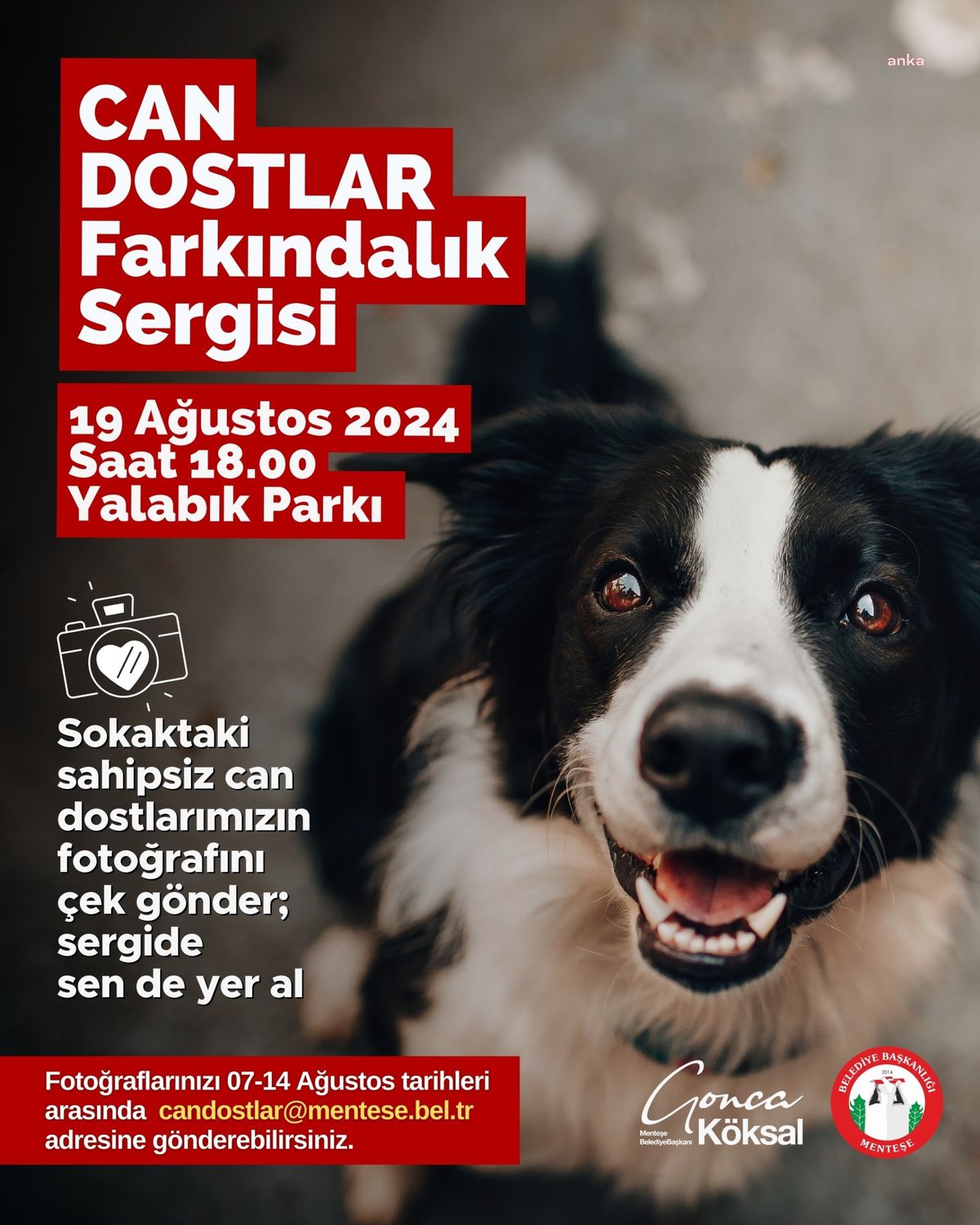 Menteşe Belediyesi Can Dostlar Farkındalık Sergisi Düzenliyor