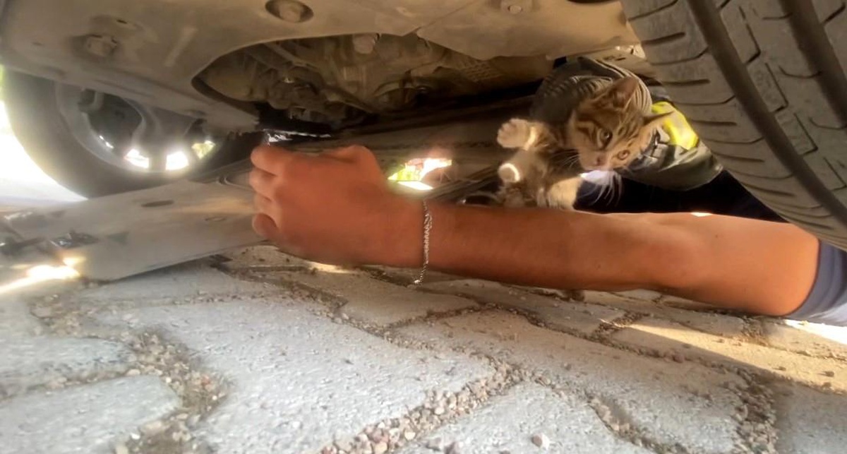 Isparta\'da Otomobilin Motor Kısmına Giren Yavru Kedi İtfaiye Tarafından Kurtarıldı