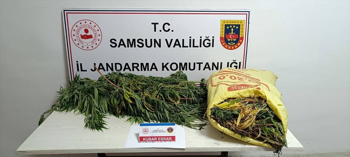 Samsun\'da 12 Kilogram Esrar Ele Geçirildi