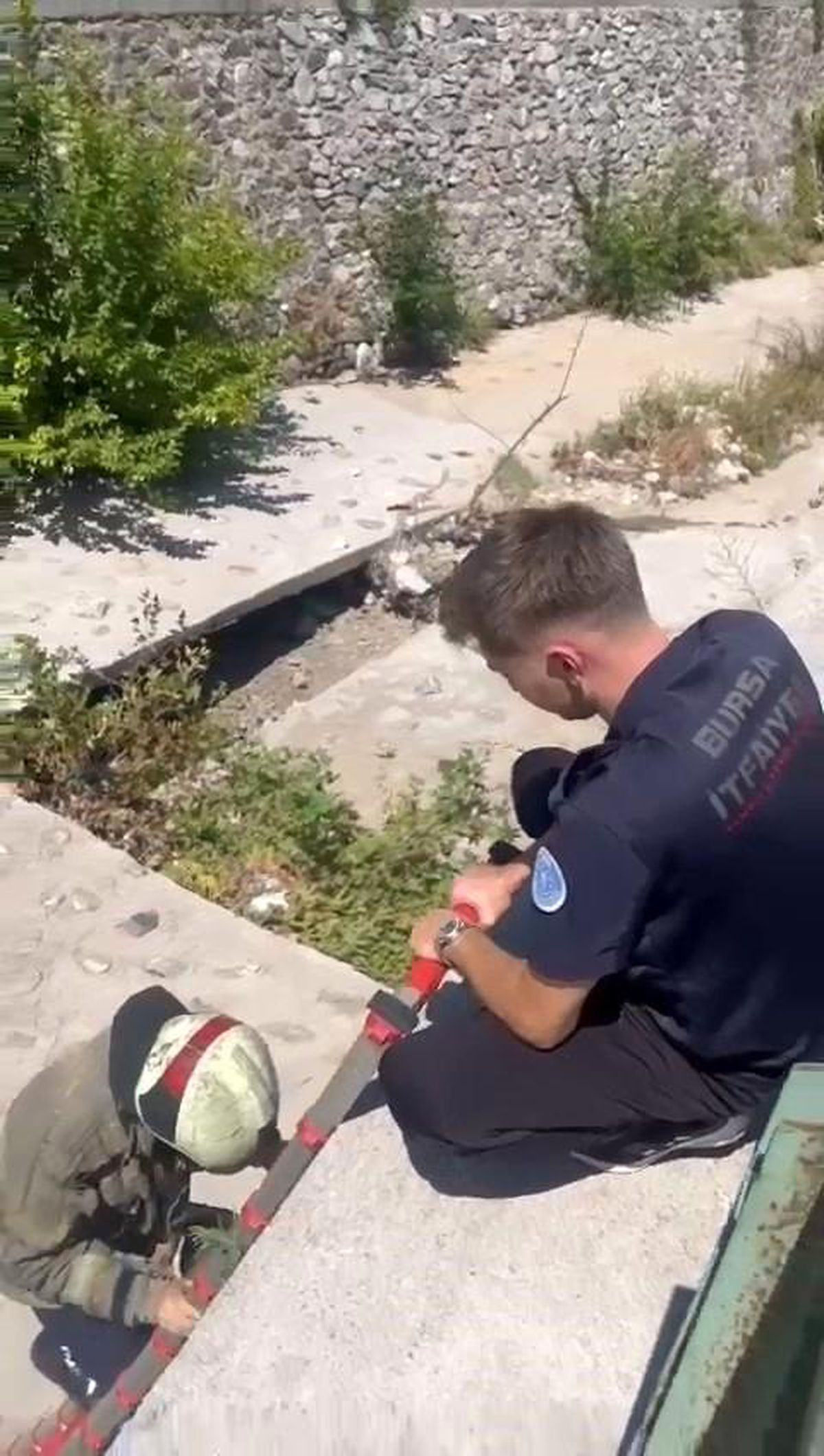 Bursa\'da Kanadı Kırılan Martı İtfaiye Tarafından Kurtarıldı