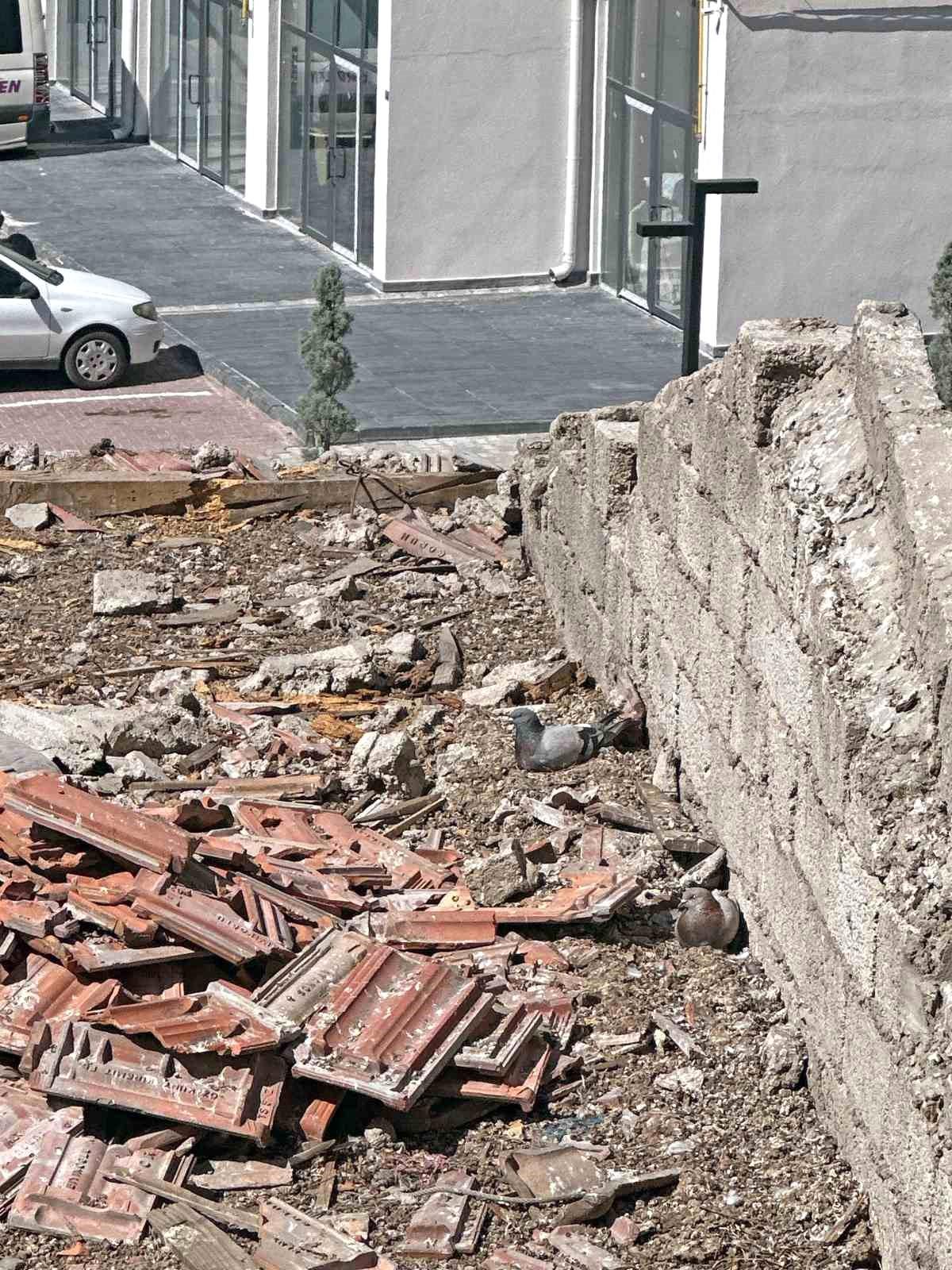 Yıkımı durdurulan binada güvercin yuvası bulundu