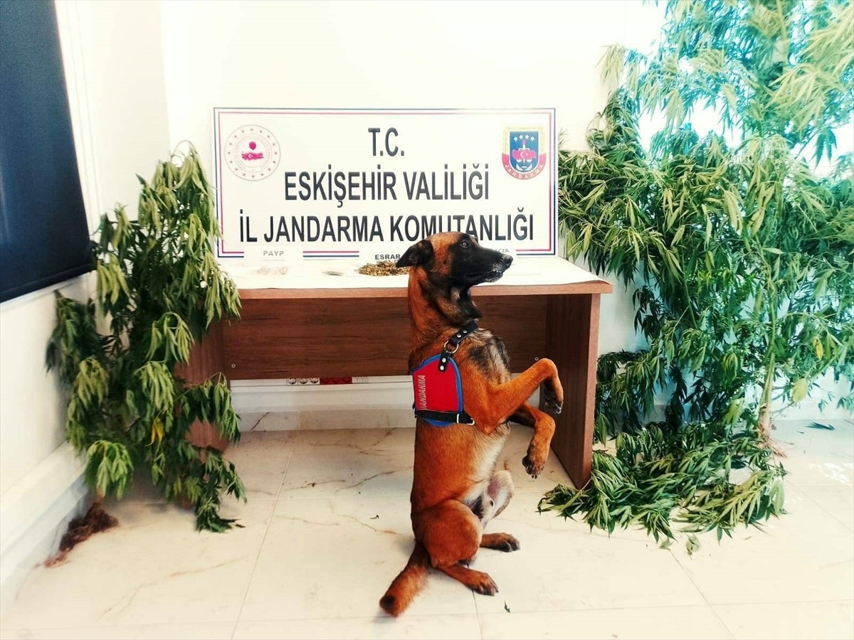 Eskişehir\'de Uyuşturucu Üretimi Yapan Şüpheli Gözaltına Alındı
